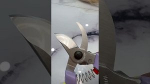 Ход мягкий👍 секатор ARS 130 DX поближе