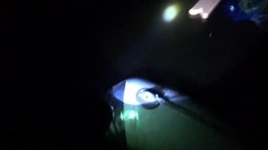 Ловля СУДАКА на БАЛБЕРЫ! Летний вариант жерлиц на суда
