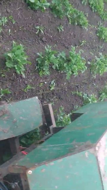 Окучивание картошки самодельным мини трактором смотреть онлайн