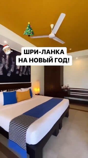 идеальное направление на Новый год 🎄🎅 #шриланка #шри смотреть онлайн