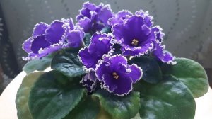 РМ-В краю озёр