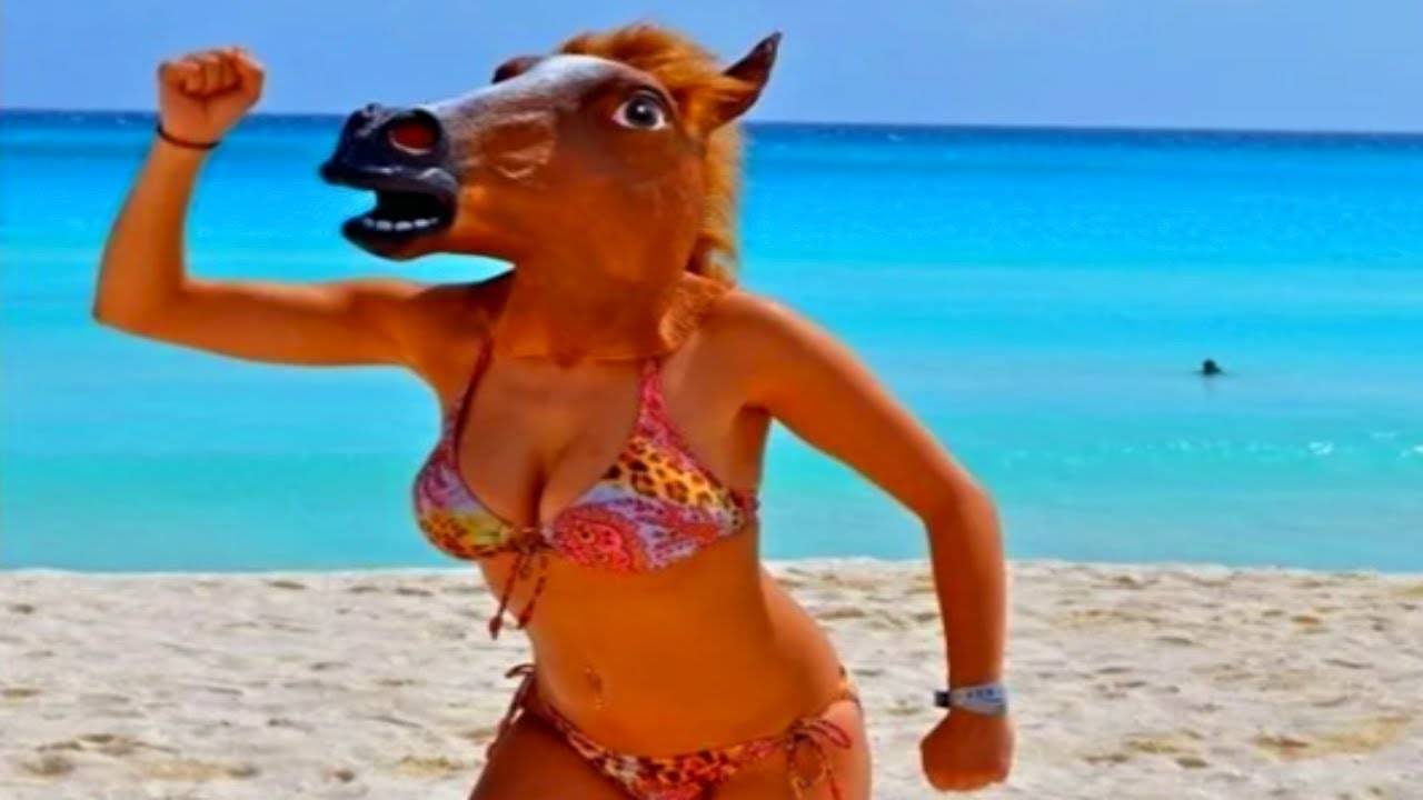 Я РЖАЛ ДО СЛЕЗ 😂 5 Минут ОТБОРНЫХ приколов 2025 Смешные видео - Лучшие ПРИКОЛЫ смотреть онлайн