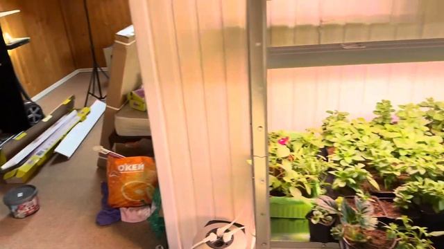 Fogel Flowers: новая теплица от компании Тепличкин смотреть онлайн