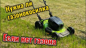 Газонокосилка против бурьяна: стоит ли покупать, если нет газона?