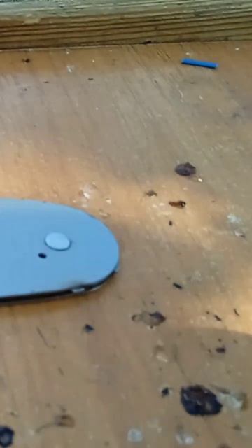 смазка шины от электропилы часть 3 смотреть онлайн