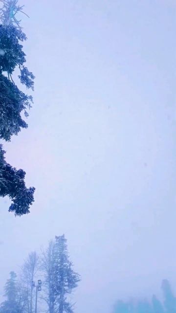 Роза хутор🏔Красная поляна🏔Всегда ожидайте неожида? смотреть онлайн