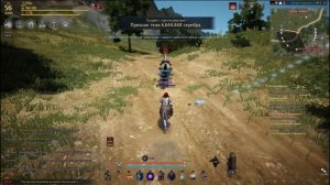 Black Desert - Приручение лошадей + карта спотов