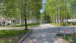 Нижневартовск// Что стало с Парком Победы// Выпечка… Готовлю