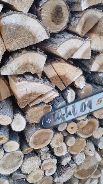 STIHL MS250 #stihlms250 #stihl250 #youtubeshorts #Село_та_STIHL смотреть онлайн