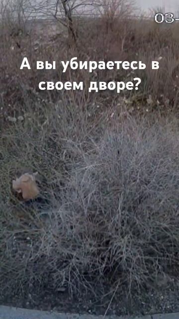 уборка во дворе многоэтажки после зимы. #субботник