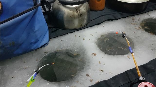 Рыбалка на оз.Салтаим карась судак 2 часть.