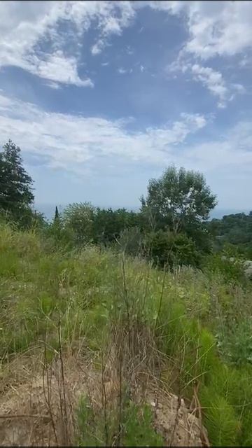Участок с панорамными видами в Сочи