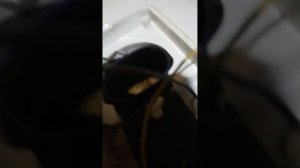 Ремонт водонагревателя Ariston (15 л). Показываю разборку и