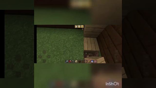 My Cockatiels - Minecraft постройка Большого дома с бассейном смотреть онлайн