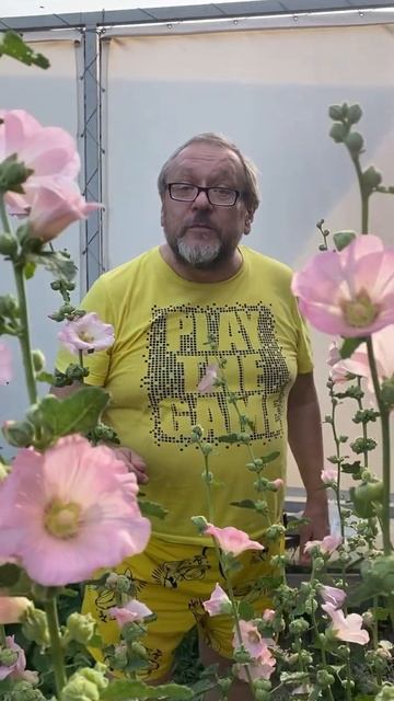 И ещё немного о шток- розах смотреть онлайн