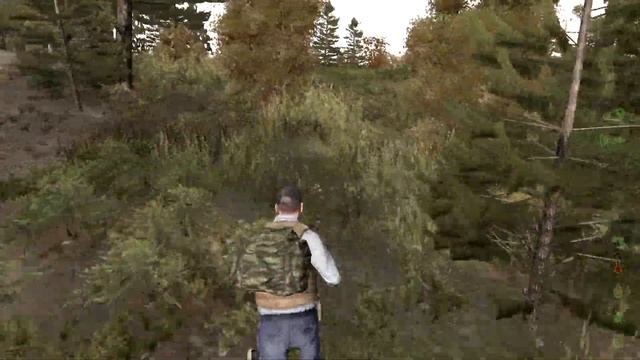 DayZ Mod Arma 2 - Как играется в 2025 году? 1.7.6.1. #dayz #dayzmod