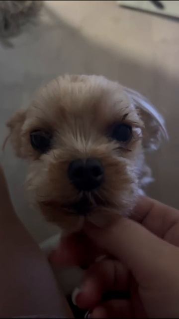 Она скучает :) смотреть онлайн