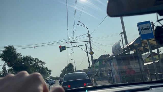 Везу зверя на прогулку в парк