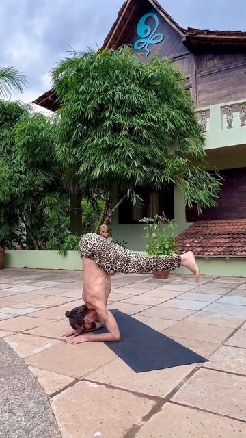 Йога под звуки природы - что может быть лучше 💫 смотреть онлайн