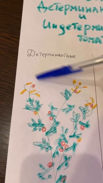 В чём отличие между томатами? #выращивать #огород #сад # смотреть онлайн