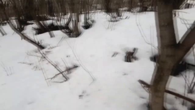 Сжигаем 2700 тысяч спичек... смотреть онлайн