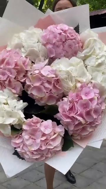 КУПИТЬ ГОРТЕНЗИИ ДНЕПР. ДОСТАВКА ЦВЕТОВ ДНЕПР