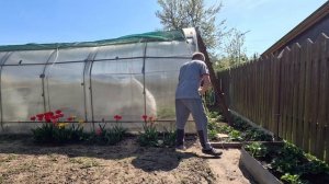 Установка затеняющей сетки на теплицу. Весенне-летний