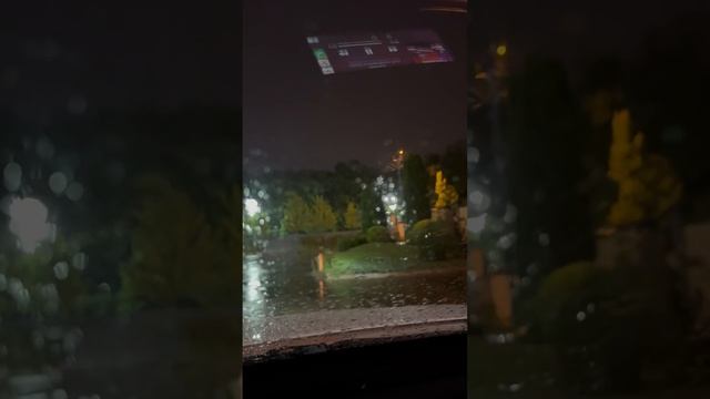 Раняя Катальпа…красивый выезд…восхитительный Красн смотреть онлайн