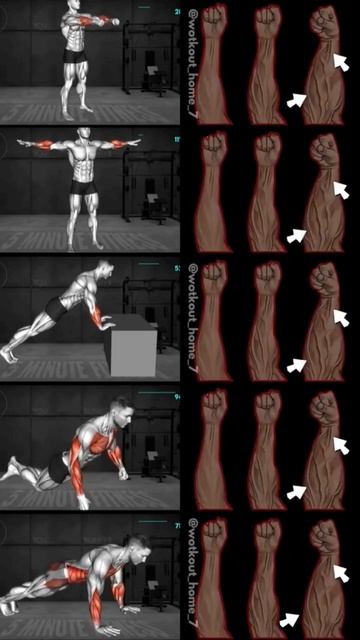 Тренировка предплечья для начинающих. В домашних усло смотреть онлайн