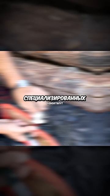 Специальные брюки... смотреть онлайн