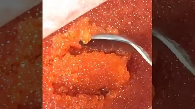Икра Красная в Томске и Северске!ФОРЕЛИ!Карелия!Икрин? смотреть онлайн