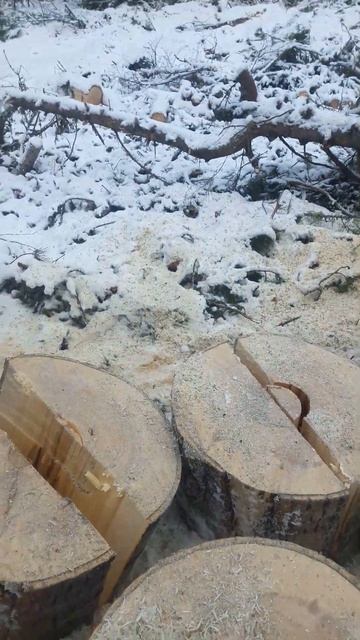 огромная осина .грузим Белорусом смотреть онлайн