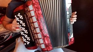 Баян немецкий Вельтмейстер Грандина Weltmeister Grandina красный Четырехголосный