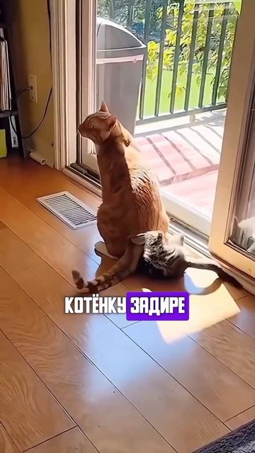 Против лома нет приема смотреть онлайн