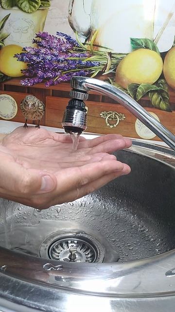 Гибридизация 2025г. Первое знакомство с водой.#birds # Birdslover #birdsounds