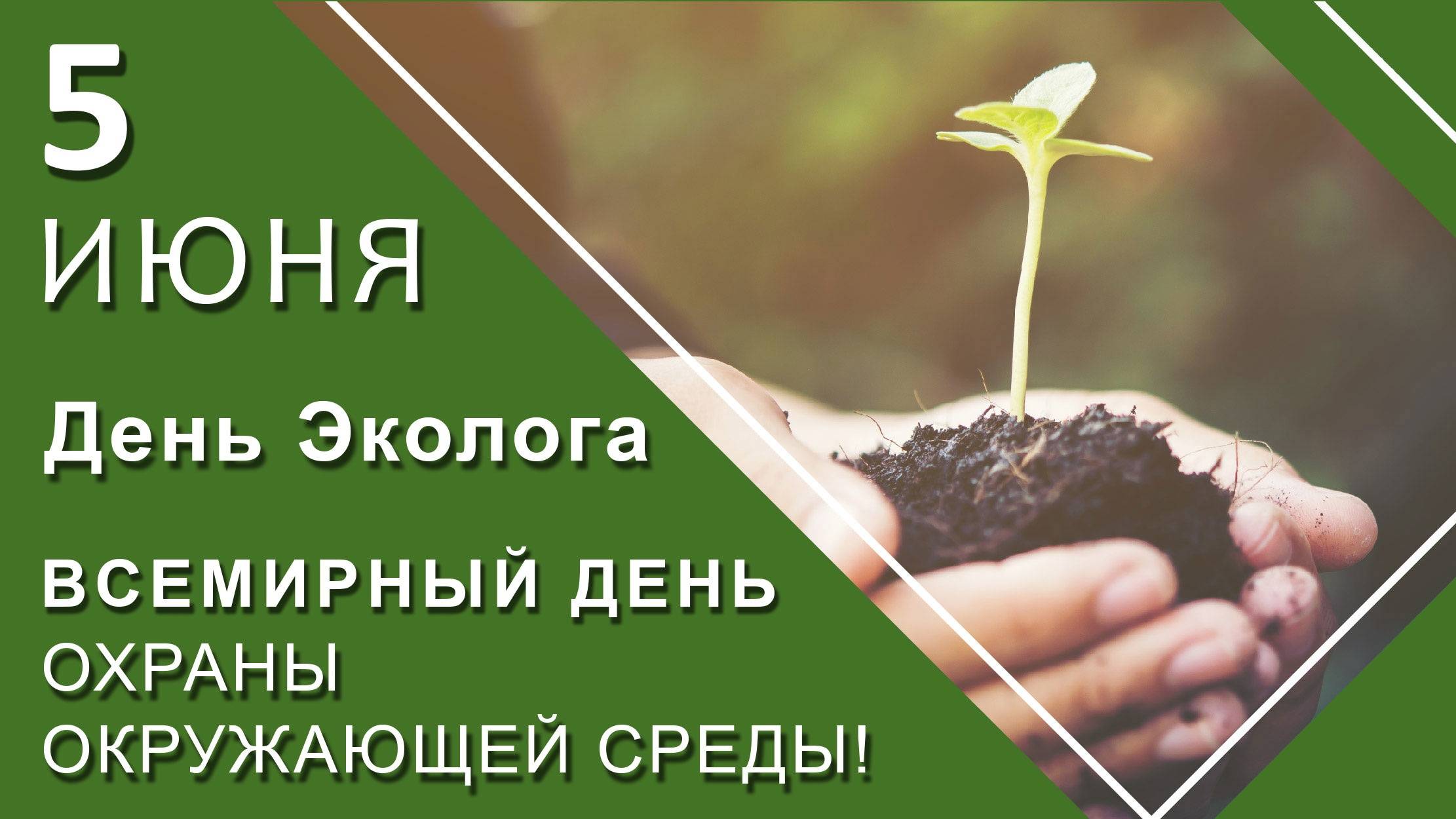 День эколога смотреть онлайн