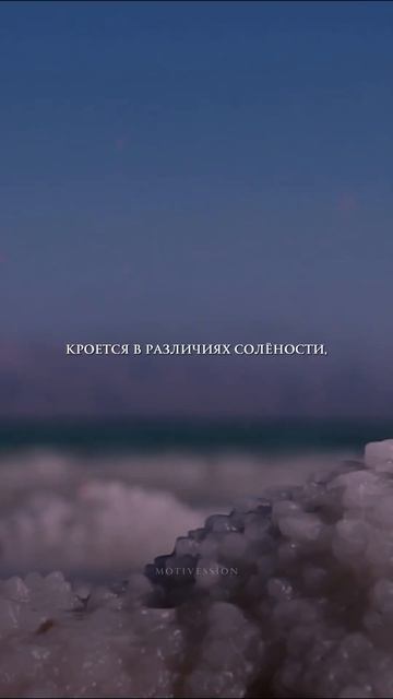 Два океана, которые соприкасаются, но не смешиваются. смотреть онлайн