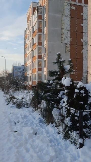 Фильм 1856 Калининград Рябина Подснежник смотреть онлайн