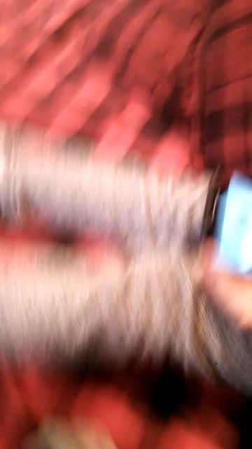 давайте много лаиков мама шила мне штани смотреть онлайн