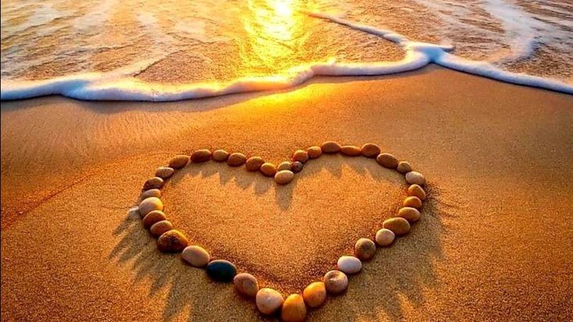 Мелодии прилива: шум океана и пение чаек смотреть онлайн