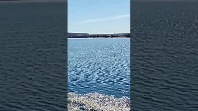 с. Архангельское#shorts