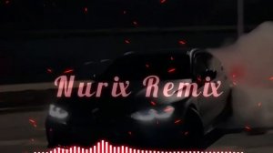 Back prooff - Два брата Bass,  Nurix