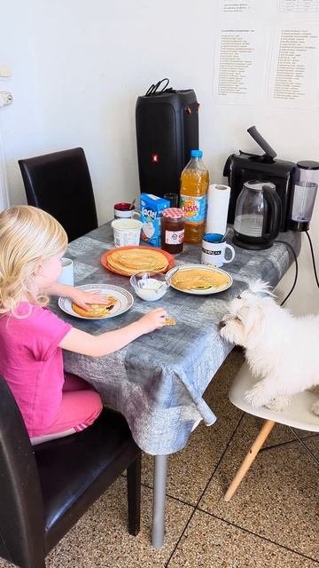 Maya and her dog have fun eating pancakes/Майя и ее пес весело кушают бли?