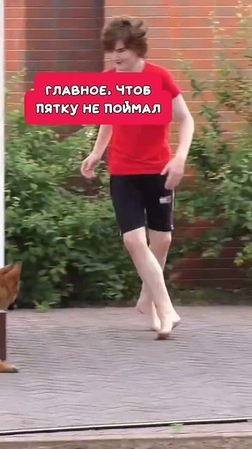 Пятки под угрозой.🤣 Щенок немецкой овчарки 3 месяца. О смотреть онлайн