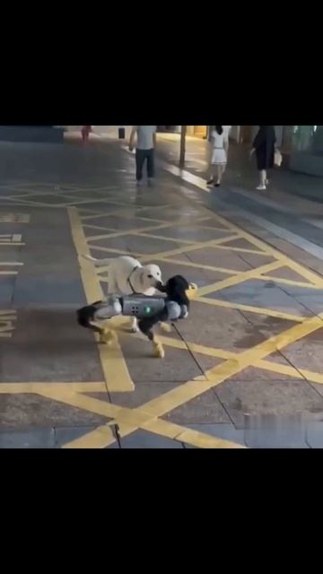 Робот - собака смотреть онлайн