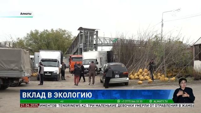 Алматинцам бесплатно выдадут около 2 000 саженцев