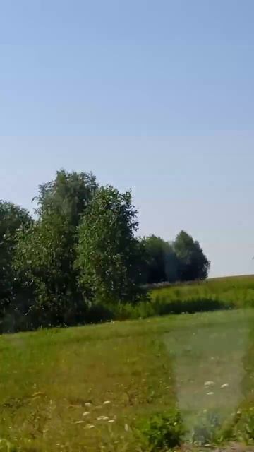 Недавно вернулась из отпуска. На природе так красиво?