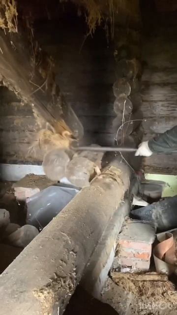 Дом за 20-ку 🏠😱 Фейк или Реальность 🤔 #макжак #аняжак? смотреть онлайн