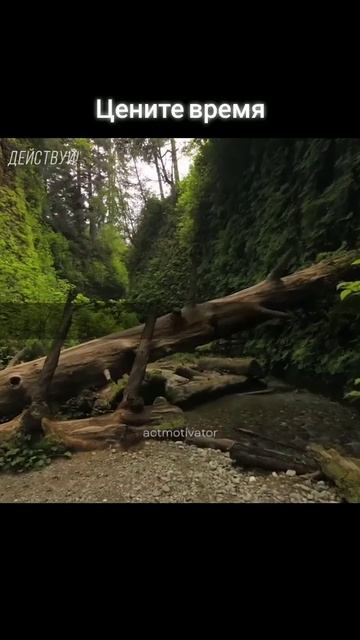 Время - это самое ценное, что есть у человека. #подборка смотреть онлайн