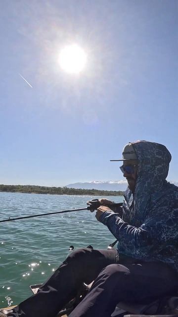 ГОЛЯМ СОМ 😱😱 #риболов#спининг#сом#savagegear#tailwalk#shimanofishing смотреть онлайн